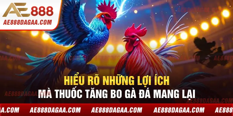 Hiểu rõ những lợi ích mà thuốc tăng bo gà đá mang lại