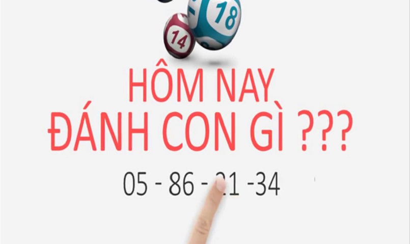Cặp lô đẹp hôm nay nên chọn là số nào? Cặp lô đẹp hôm nay nên chọn là số nào?