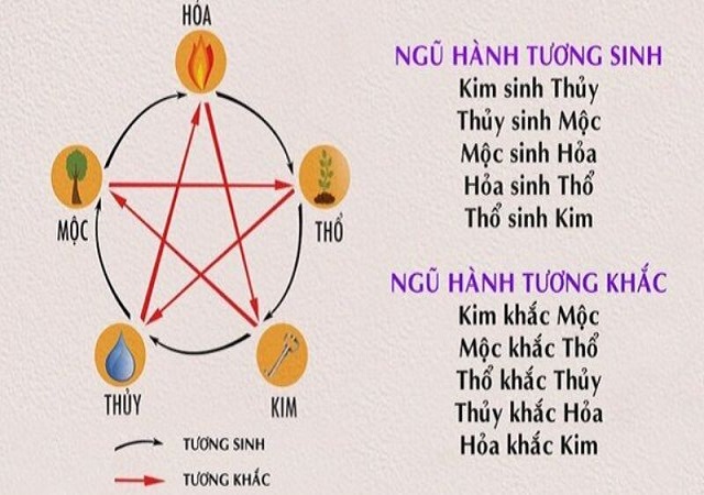 Xem mạng gà cũng là mẹo hay bạn nên biết