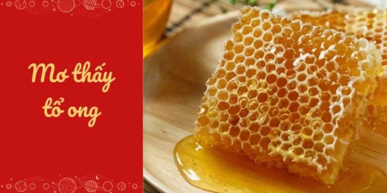 Điềm báo mộng ong đuổi