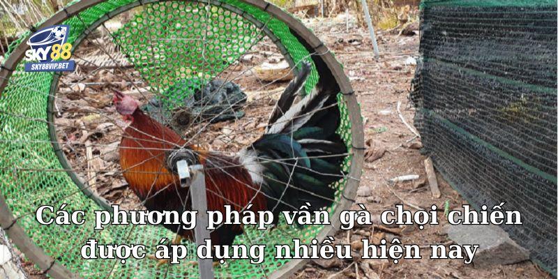Các phương pháp vần gà chọi chiến được áp dụng nhiều hiện nay