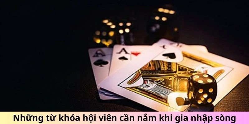 Những từ khóa hội viên cần nắm khi gia nhập sòng